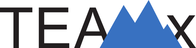 Logo TeamX